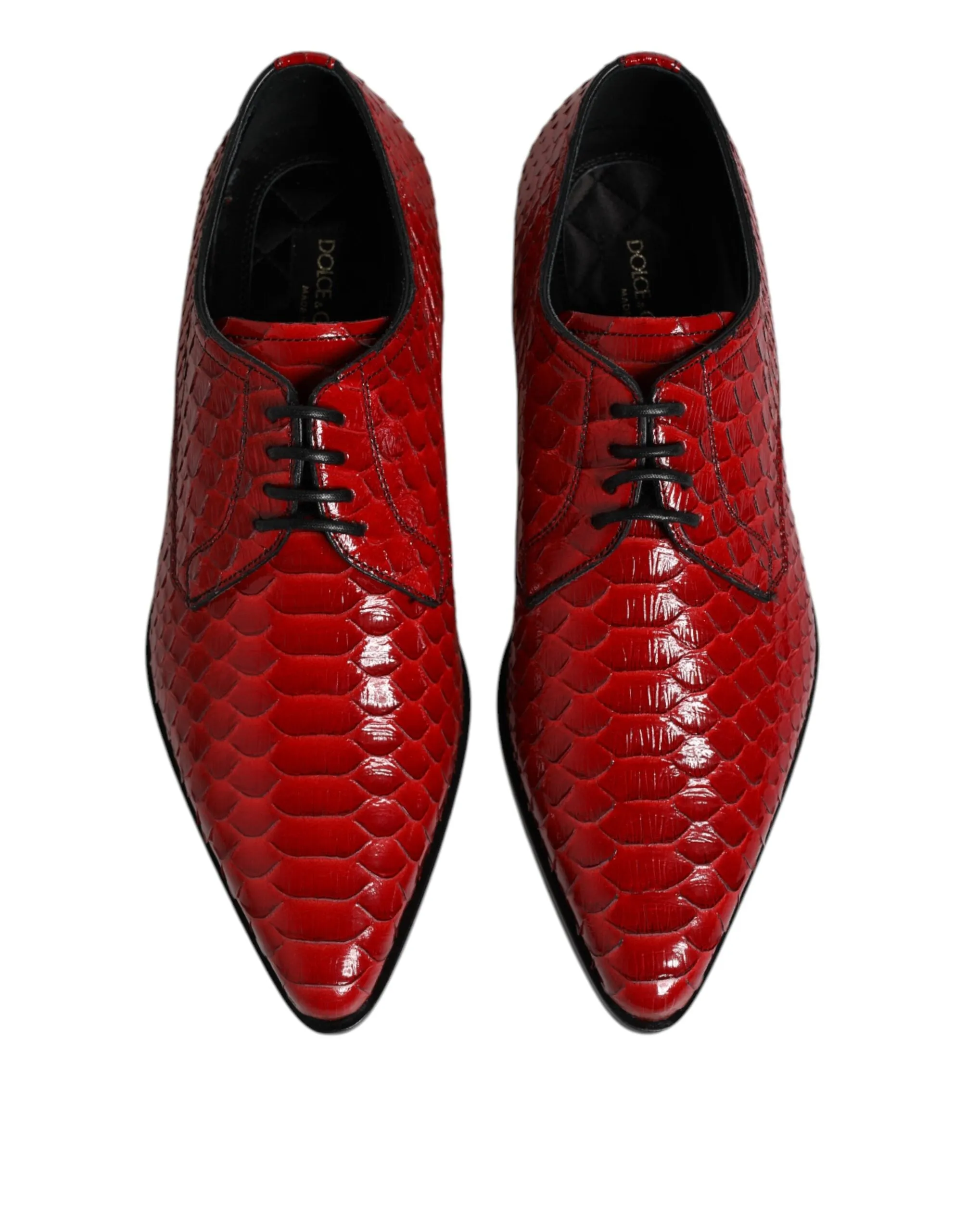 & Dress Full product range Red Up Dolce Leather Derby Best-reviewed Gabbana Lace Shoes Exotic