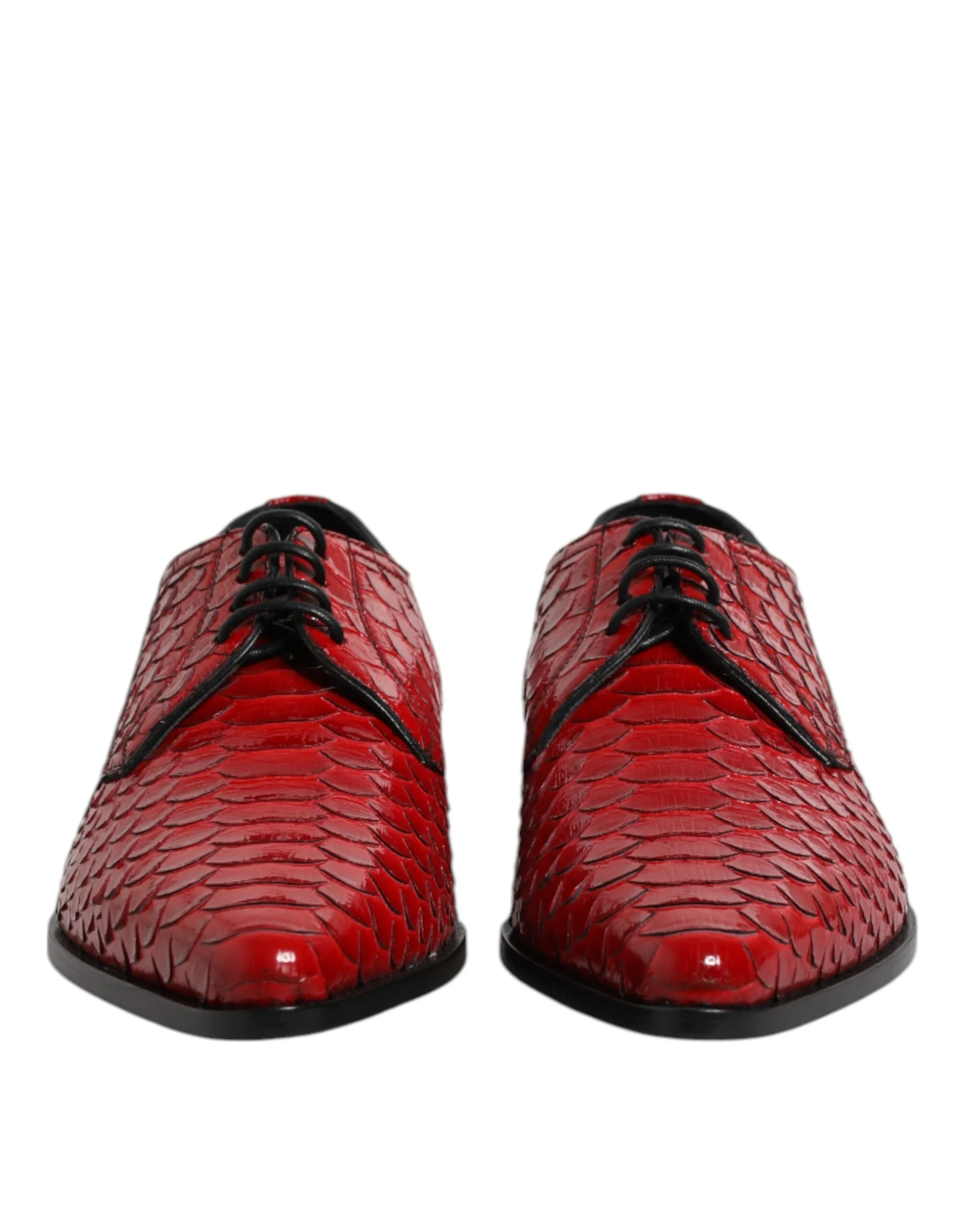 & Dress Full product range Red Up Dolce Leather Derby Best-reviewed Gabbana Lace Shoes Exotic