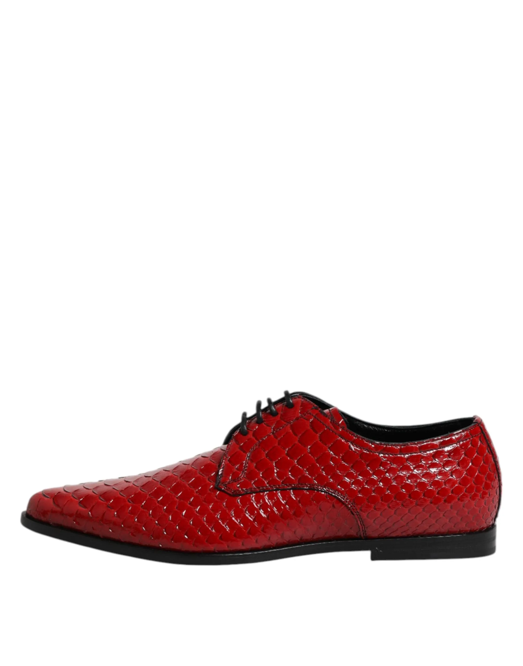& Dress Full product range Red Up Dolce Leather Derby Best-reviewed Gabbana Lace Shoes Exotic