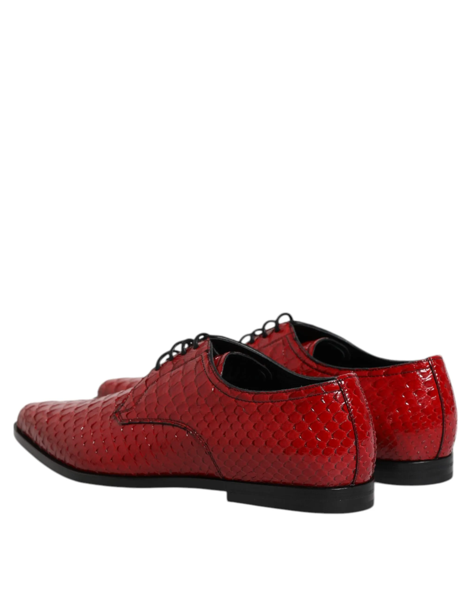 & Dress Full product range Red Up Dolce Leather Derby Best-reviewed Gabbana Lace Shoes Exotic
