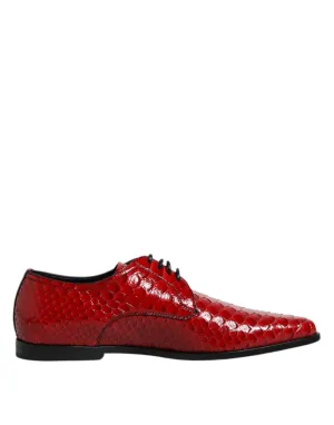 & Dress Full product range Red Up Dolce Leather Derby Best-reviewed Gabbana Lace Shoes Exotic