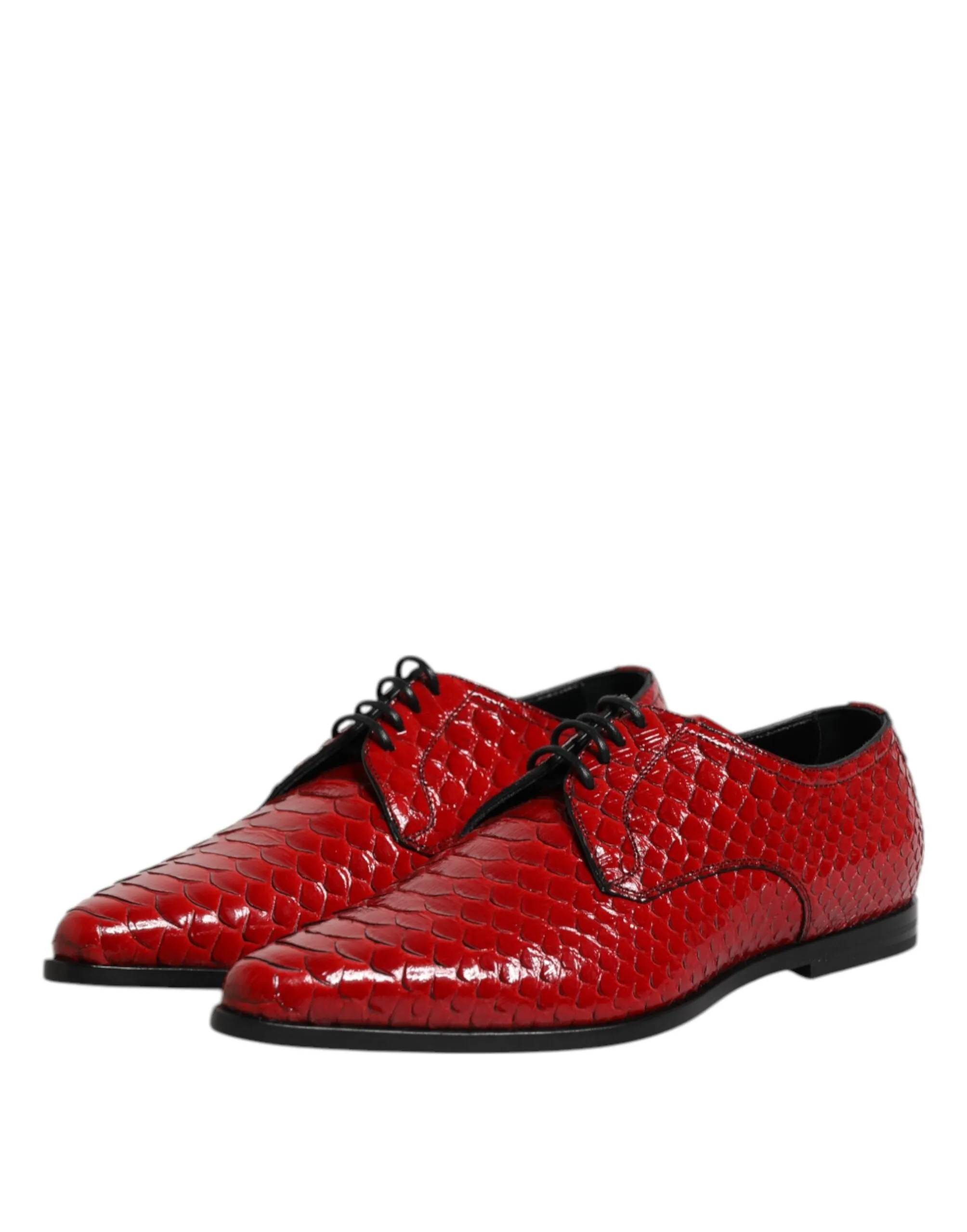 & Dress Full product range Red Up Dolce Leather Derby Best-reviewed Gabbana Lace Shoes Exotic