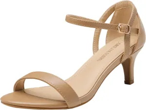 DREAM PAIRS Women's Lexii Fashion Stilettos Open Toe Pump Heel Sandals