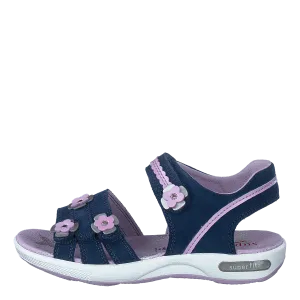 Emily Blue/violet