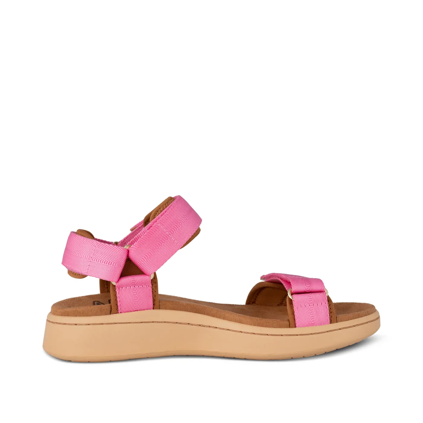 Line - Aurora Pink