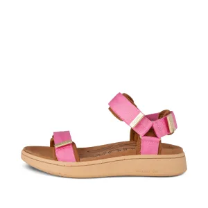 Line - Aurora Pink