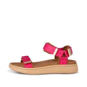 Line - Pitaya