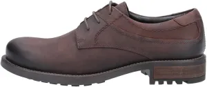 Mens Brookthorpe Nubuck Derby Shoes (13) (Brown)