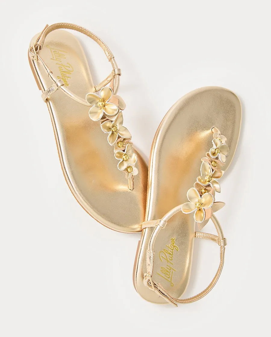 Shelley Sandal