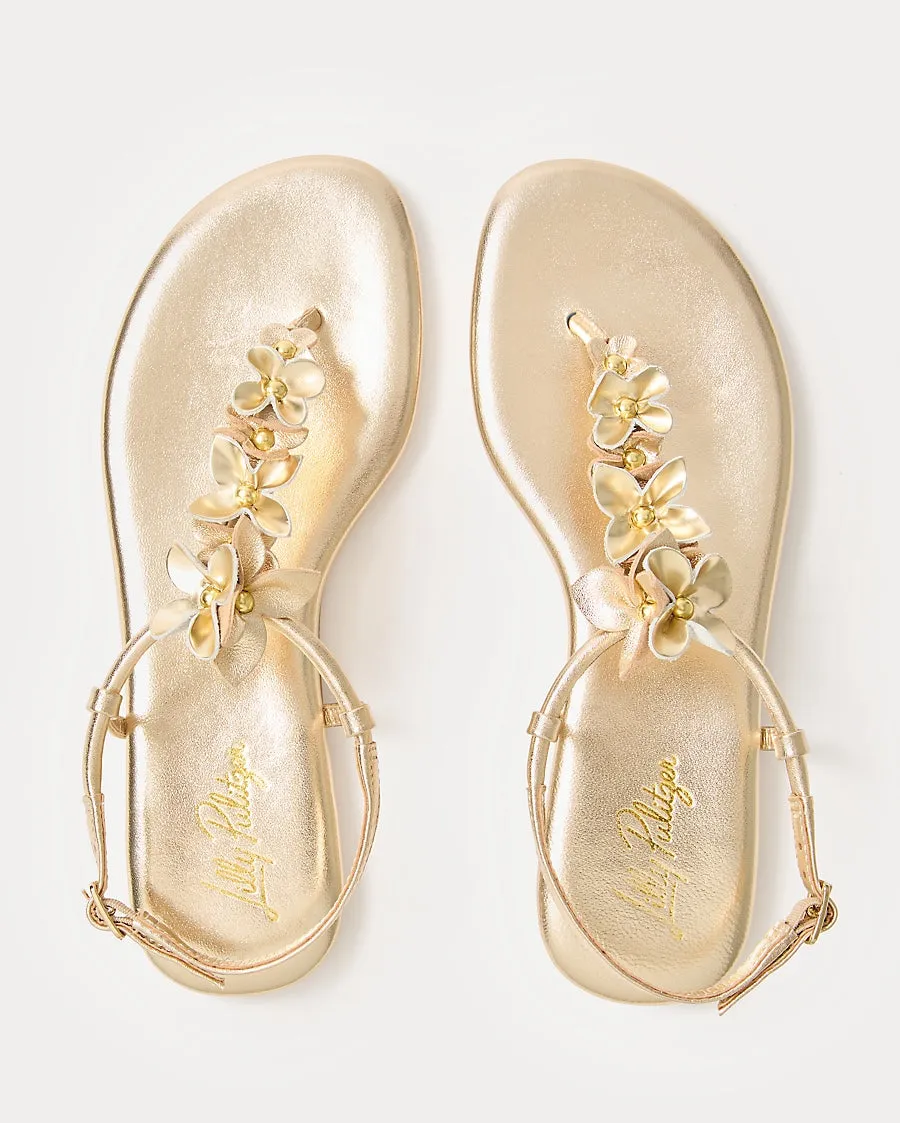 Shelley Sandal