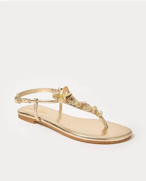 Shelley Sandal