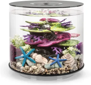Tube 15 Aquarium with Standard Light - 4 Gallon, Black